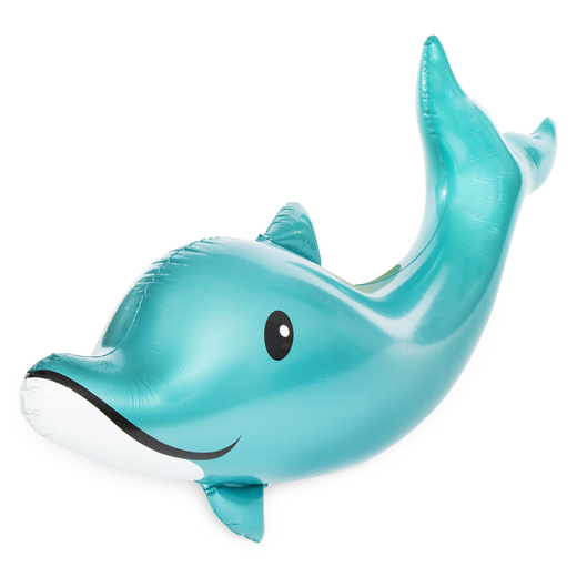 dolphin floaties