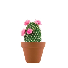 Product Thumbnail 1