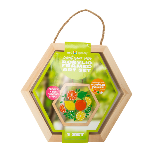 Art 101 Gallery® Paint Your Own Acrylic Framed Art Set Five Below